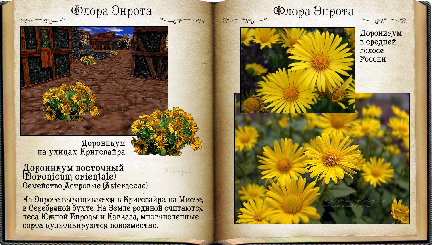 MIGHT AND MAGIC VI. ����� ������ 3.