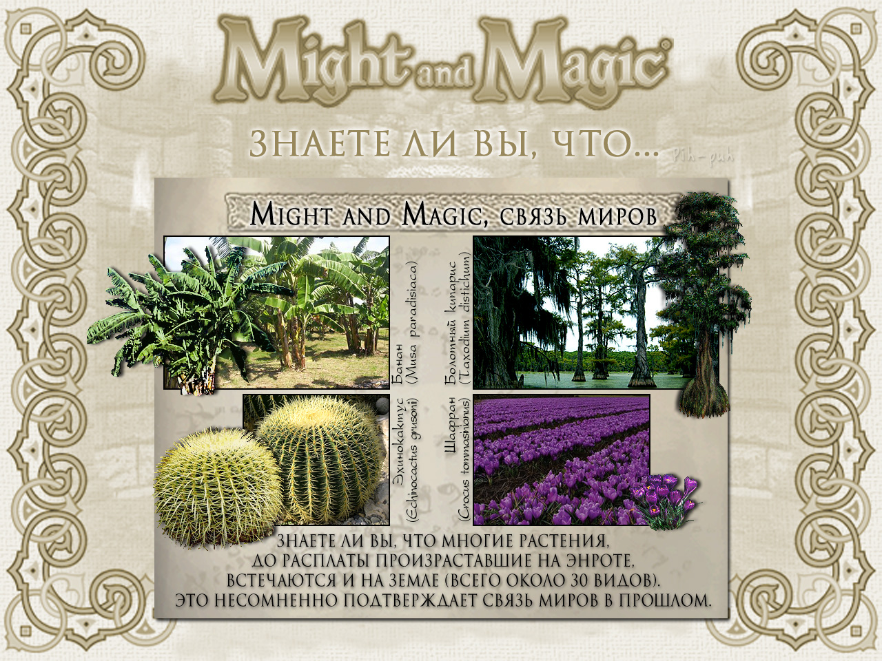 MIGHT AND MAGIC VI. ����� ����� (����� ������).