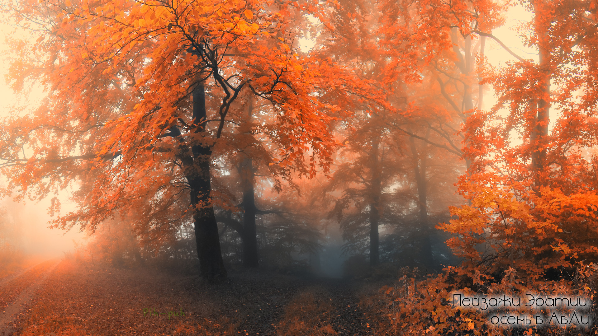 MIGHT AND MAGIC VII. ������� ������ 16.